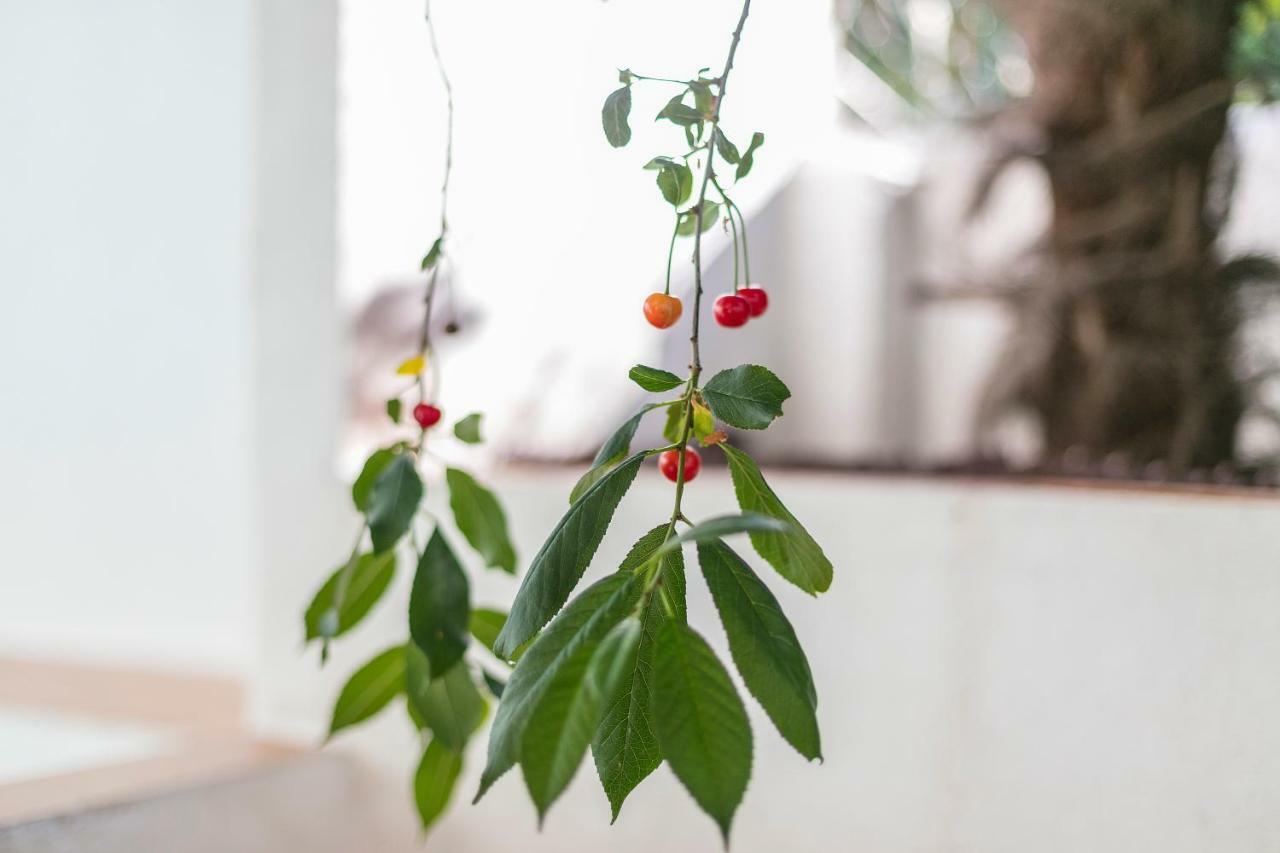 Fragrant Garden Apartment Lisboa Dış mekan fotoğraf