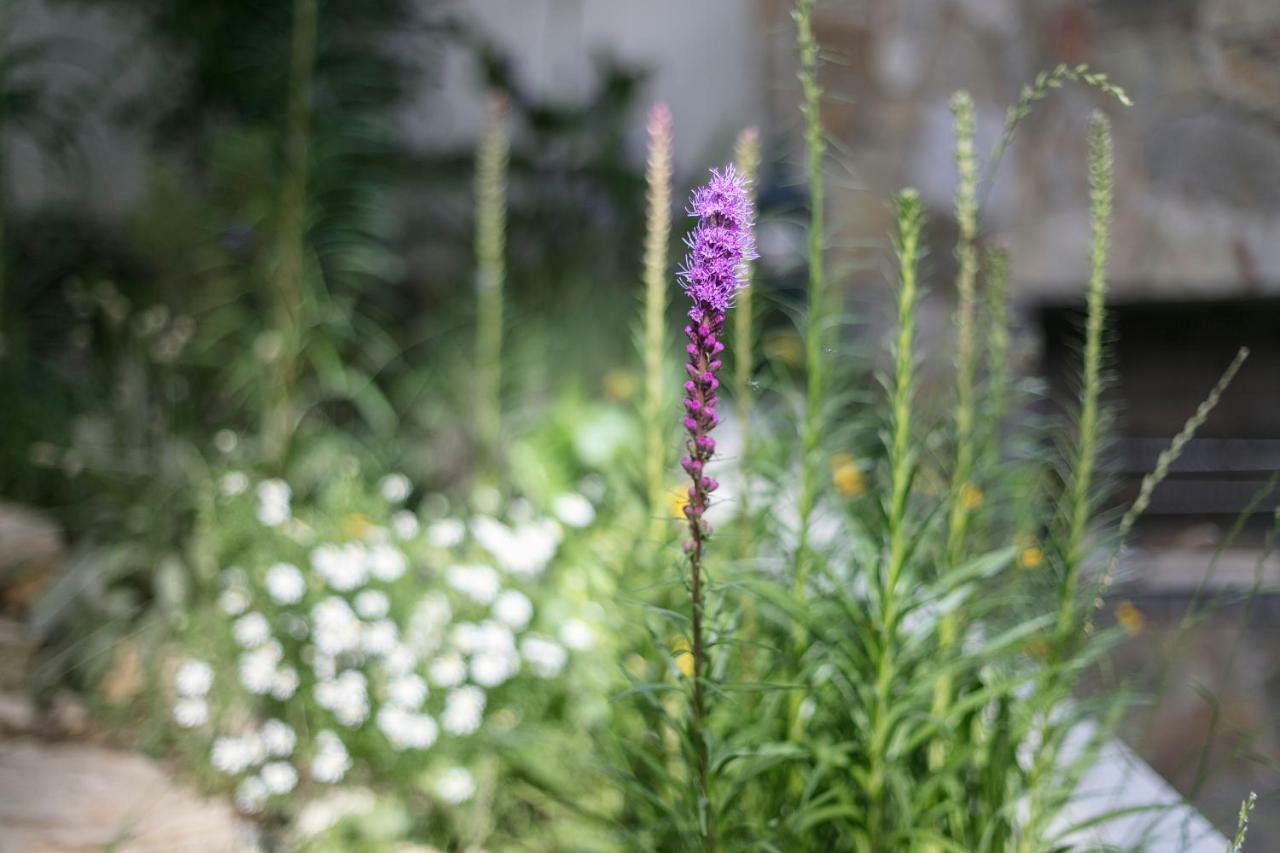 Fragrant Garden Apartment Lisboa Dış mekan fotoğraf